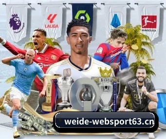 韦德体育websport63 APP
